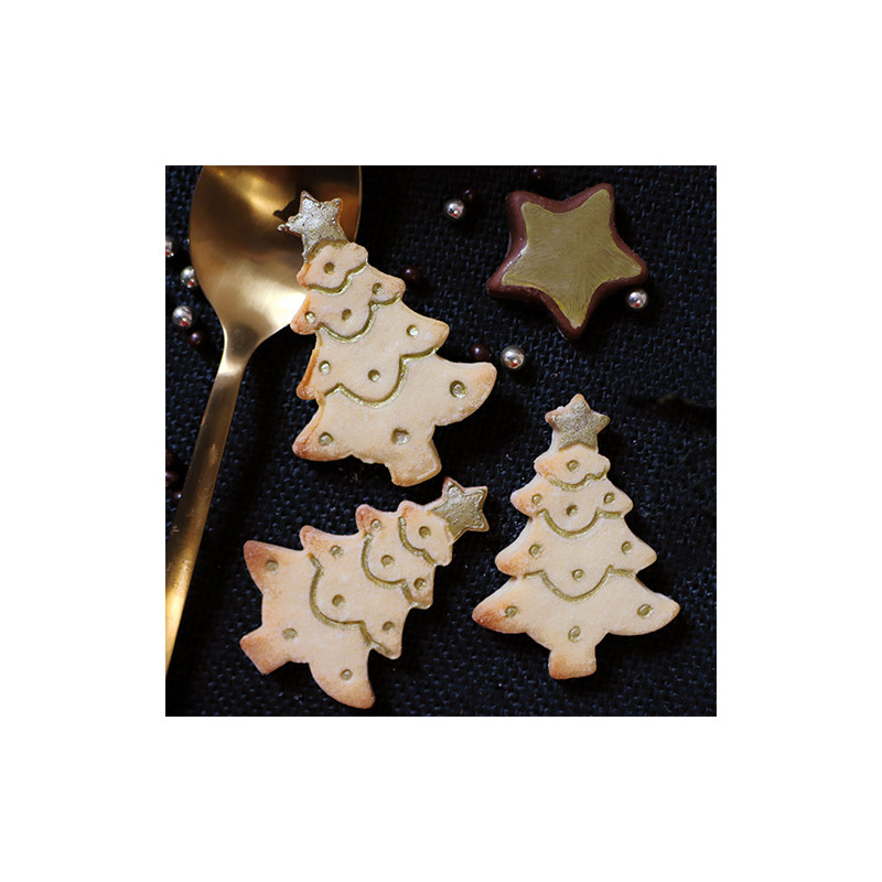 Biscuits imprimés Noël
