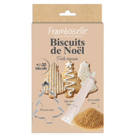 Kit décoration biscuits de Noël